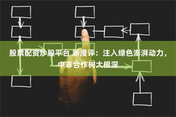 股票配资炒股平台 新漫评：注入绿色澎湃动力，中非合作树大根深