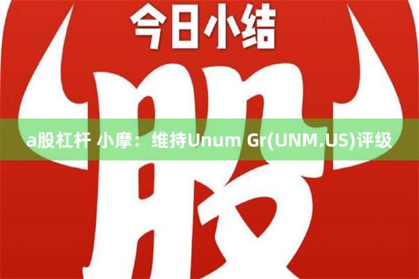 a股杠杆 小摩：维持Unum Gr(UNM.US)评级