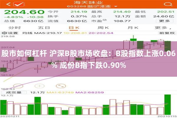 股市如何杠杆 沪深B股市场收盘：B股指数上涨0.06% 成份B指下跌0.90%