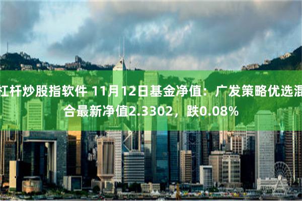 杠杆炒股指软件 11月12日基金净值：广发策略优选混合最新净值2.3302，跌0.08%