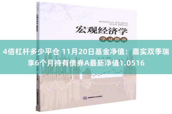 4倍杠杆多少平仓 11月20日基金净值：嘉实双季瑞享6个月持有债券A最新净值1.0516