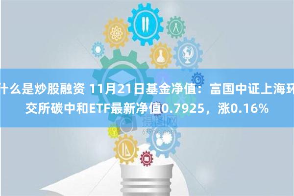 什么是炒股融资 11月21日基金净值：富国中证上海环交所碳中和ETF最新净值0.7925，涨0.16%