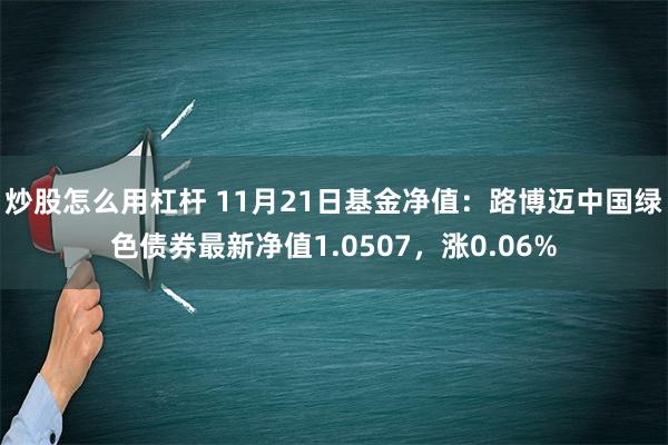 炒股怎么用杠杆 11月21日基金净值：路博迈中国绿色债券最新净值1.0507，涨0.06%