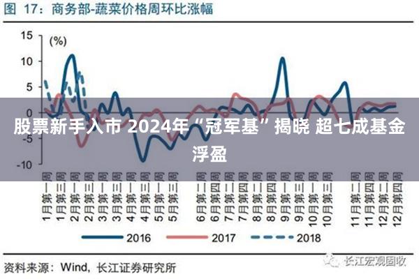 股票新手入市 2024年“冠军基”揭晓 超七成基金浮盈