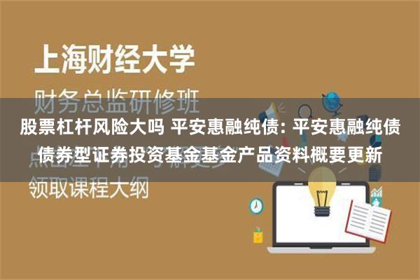 股票杠杆风险大吗 平安惠融纯债: 平安惠融纯债债券型证券投资基金基金产品资料概要更新